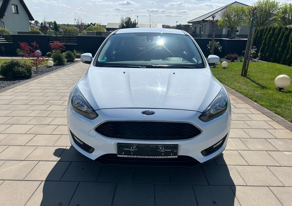 Ford Focus cena 32900 przebieg: 94000, rok produkcji 2015 z Oleśnica małe 79